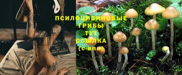 твердый Балабаново