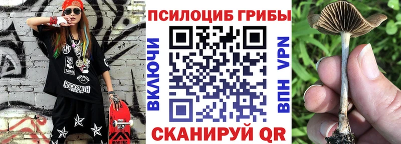 Галлюциногенные грибы Magic Shrooms купить KRAKEN рабочий сайт Буйнакск